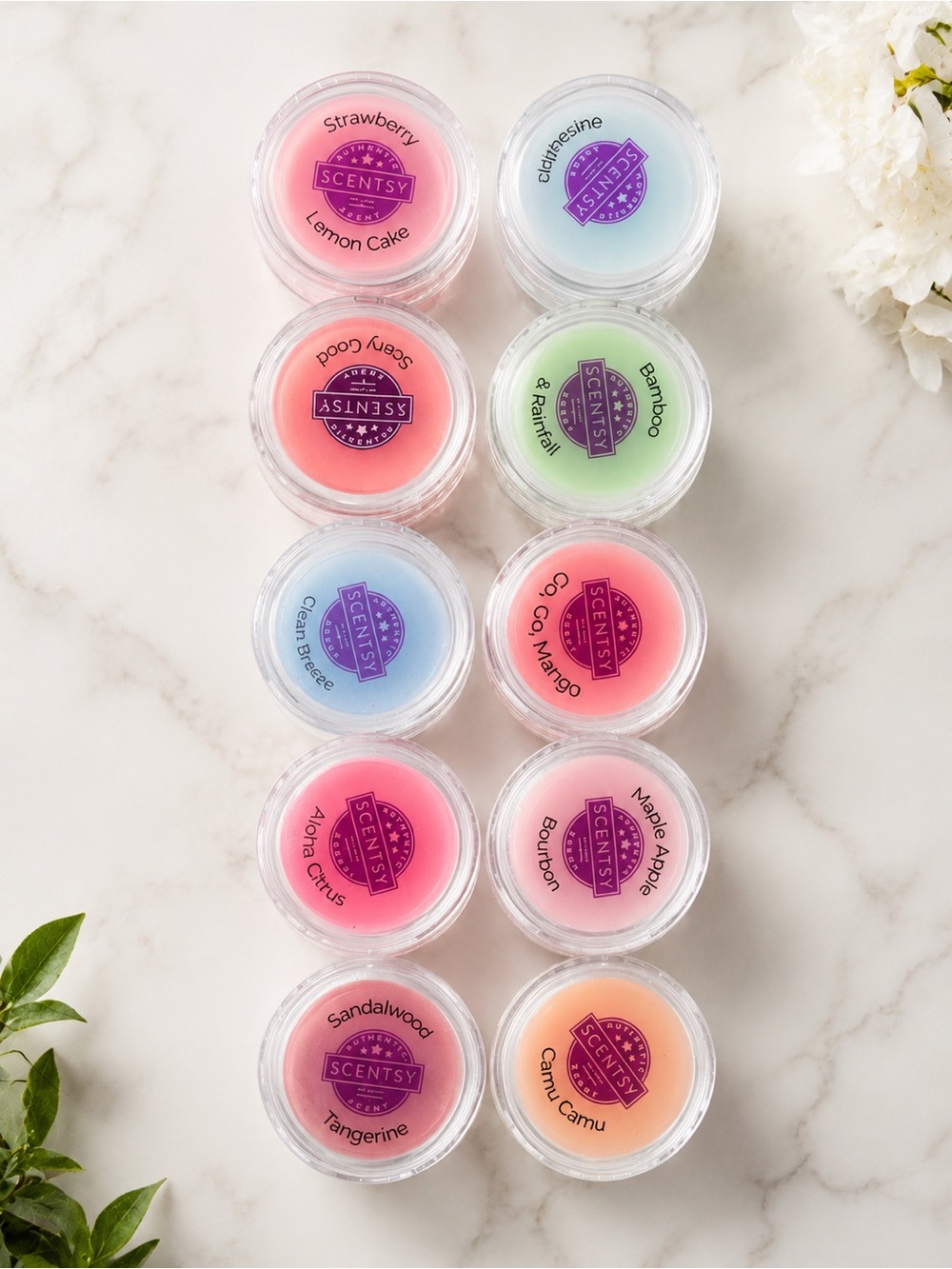 Scentsy Wax Melt Sample Pots 10-Piece Assorted Scent Set in Storage Pouch